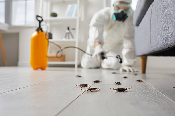 Commercial Kitchen Cockroach Control in Glenmoor